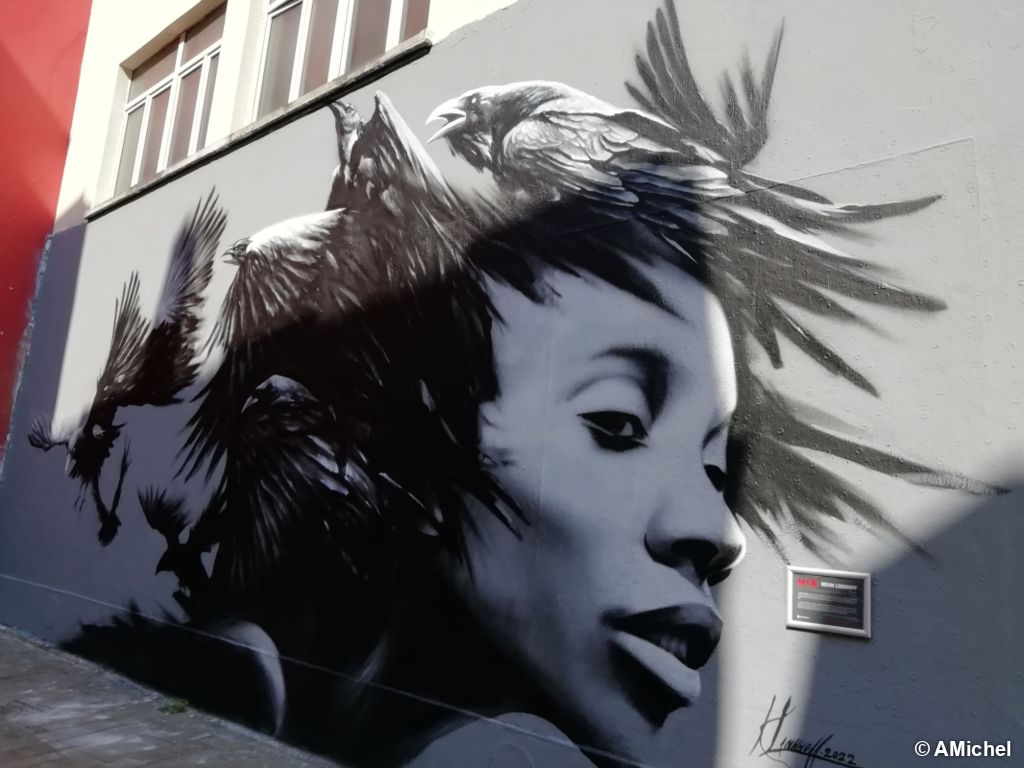 Passion automobile et plaisirs œnologiques à Mulhouse 