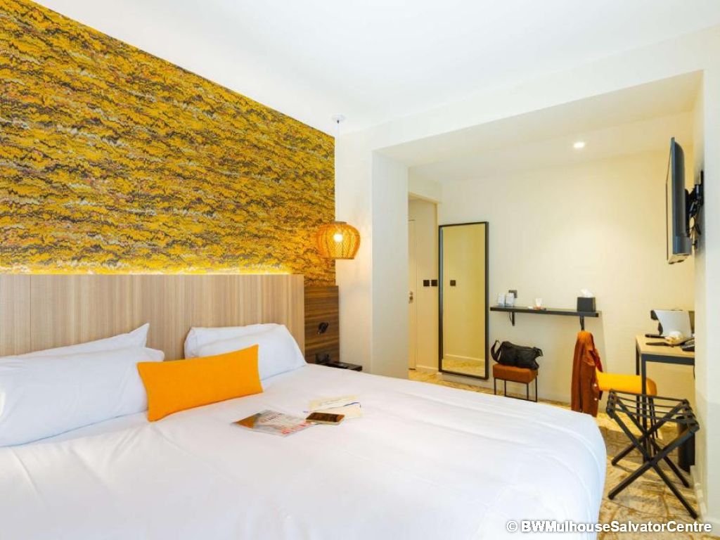 Passion automobile et plaisirs œnologiques à Mulhouse - 4