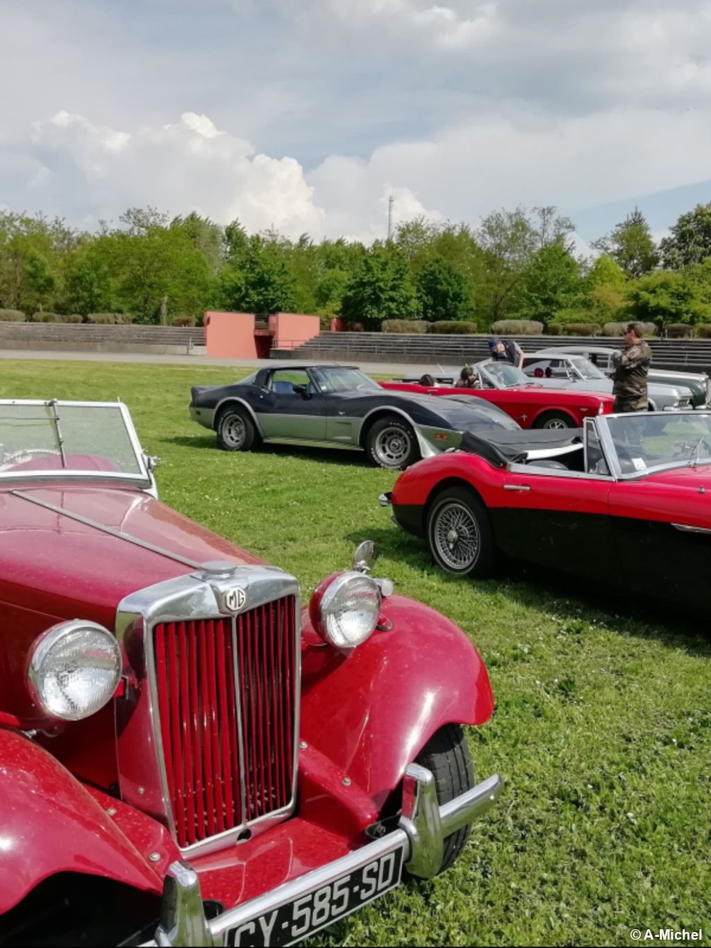 Passion automobile et plaisirs œnologiques à Mulhouse - 5