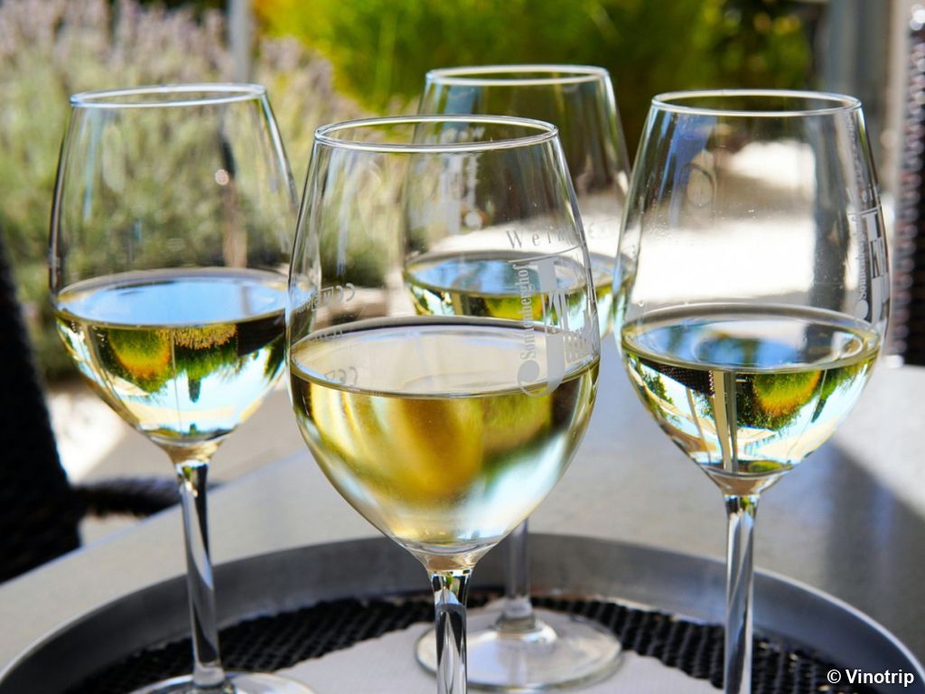 Atelier vigneron en Alsace - 1