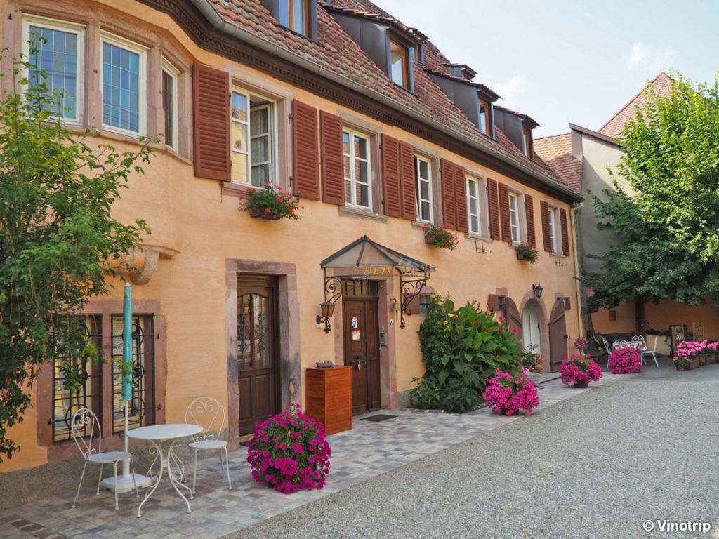 Atelier vigneron en Alsace - 2