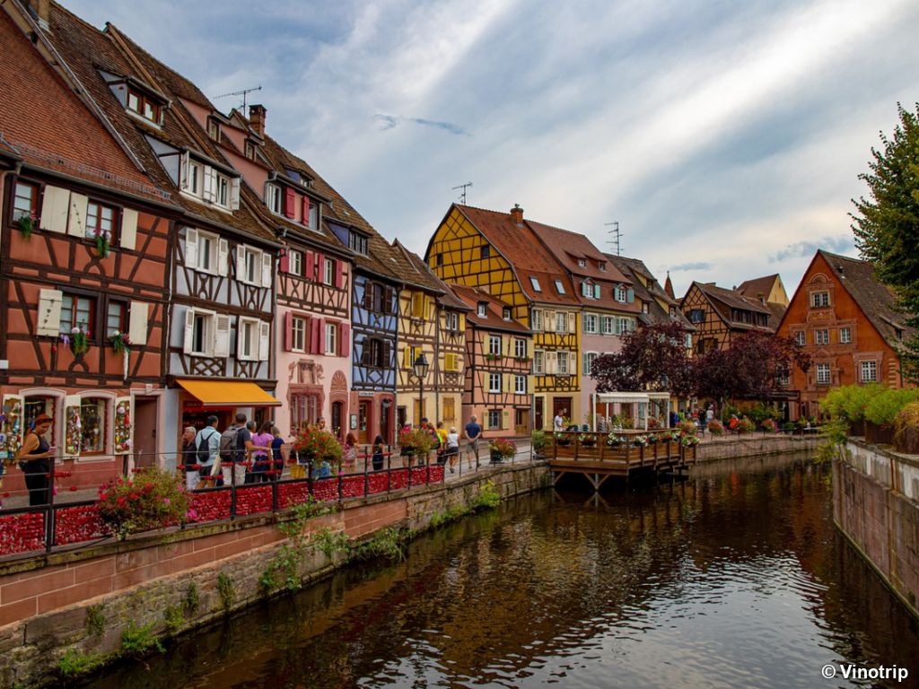 Atelier vigneron en Alsace - 7