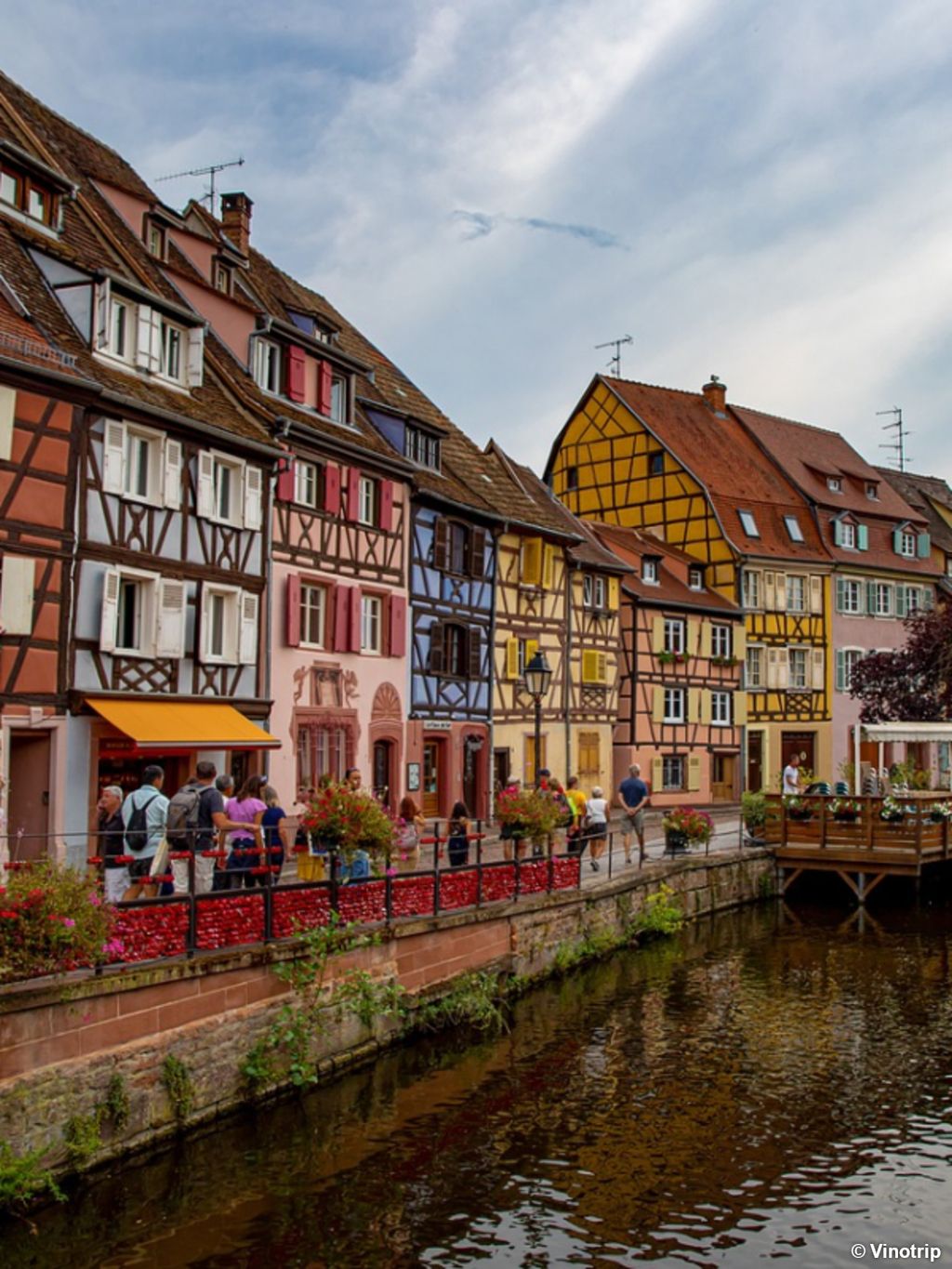 Atelier vigneron en Alsace - 10