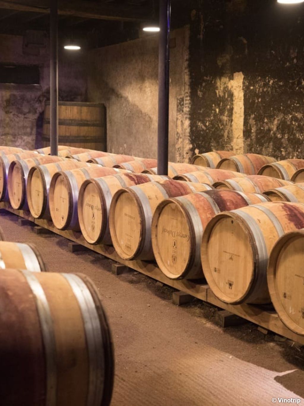 Visite de cave Beaujolais - 5