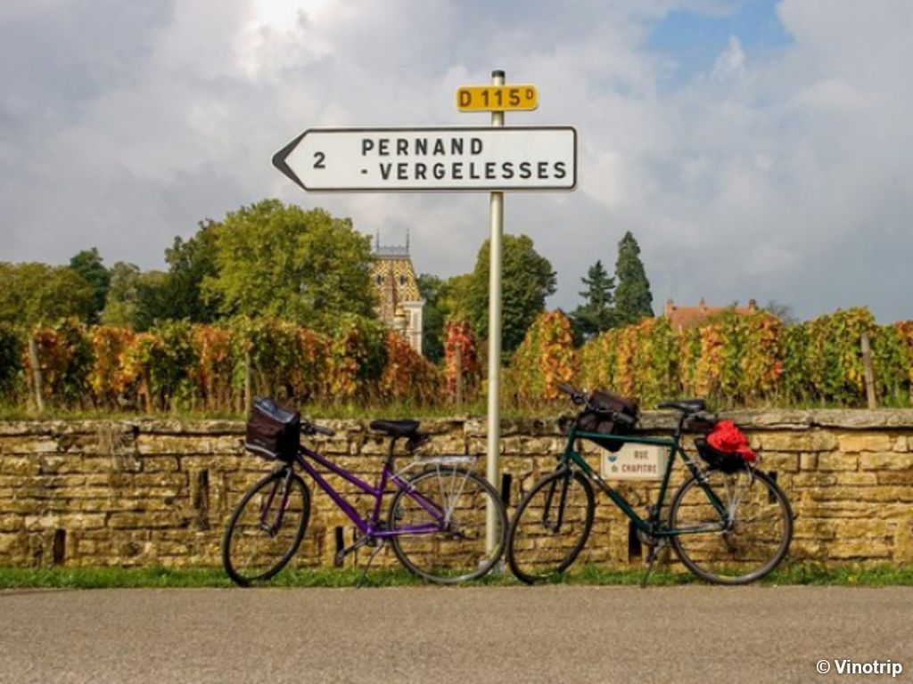 Bio et vélo en Bourgogne