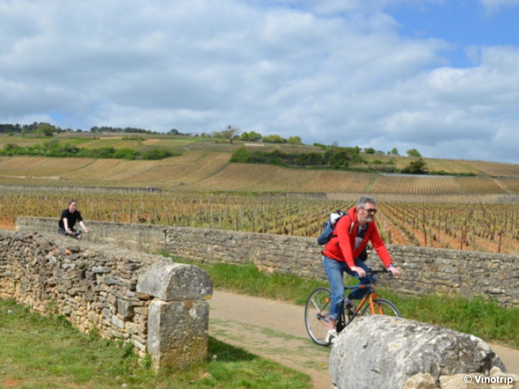Bio et vélo en Bourgogne - 2