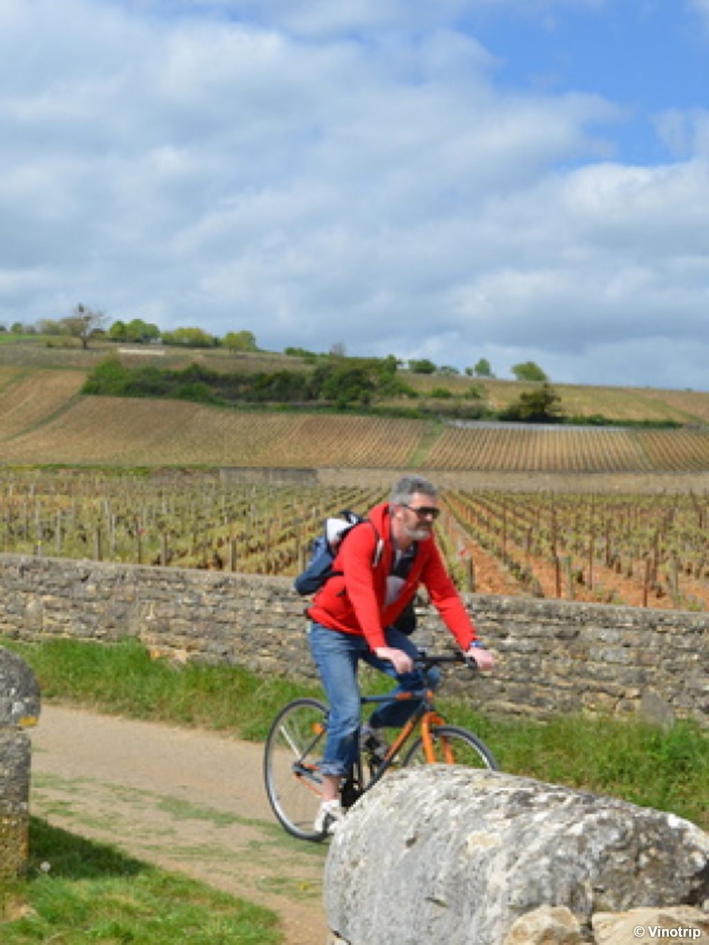 Bio et vélo en Bourgogne - 5