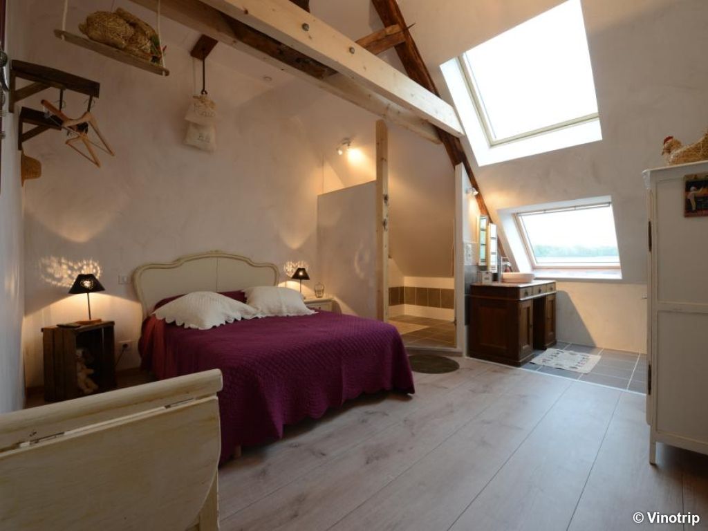 Table d'hôtes chez le vigneron en Bourgogne - 3