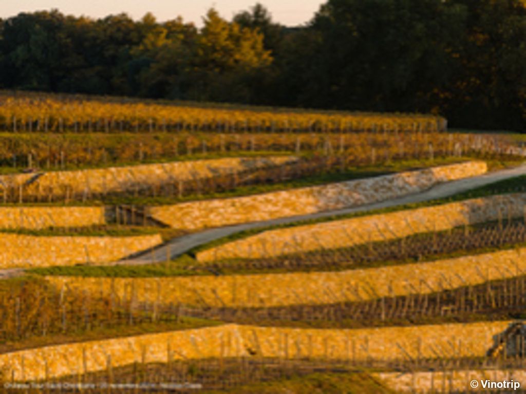 Atelier œnologique Bordeaux - 2