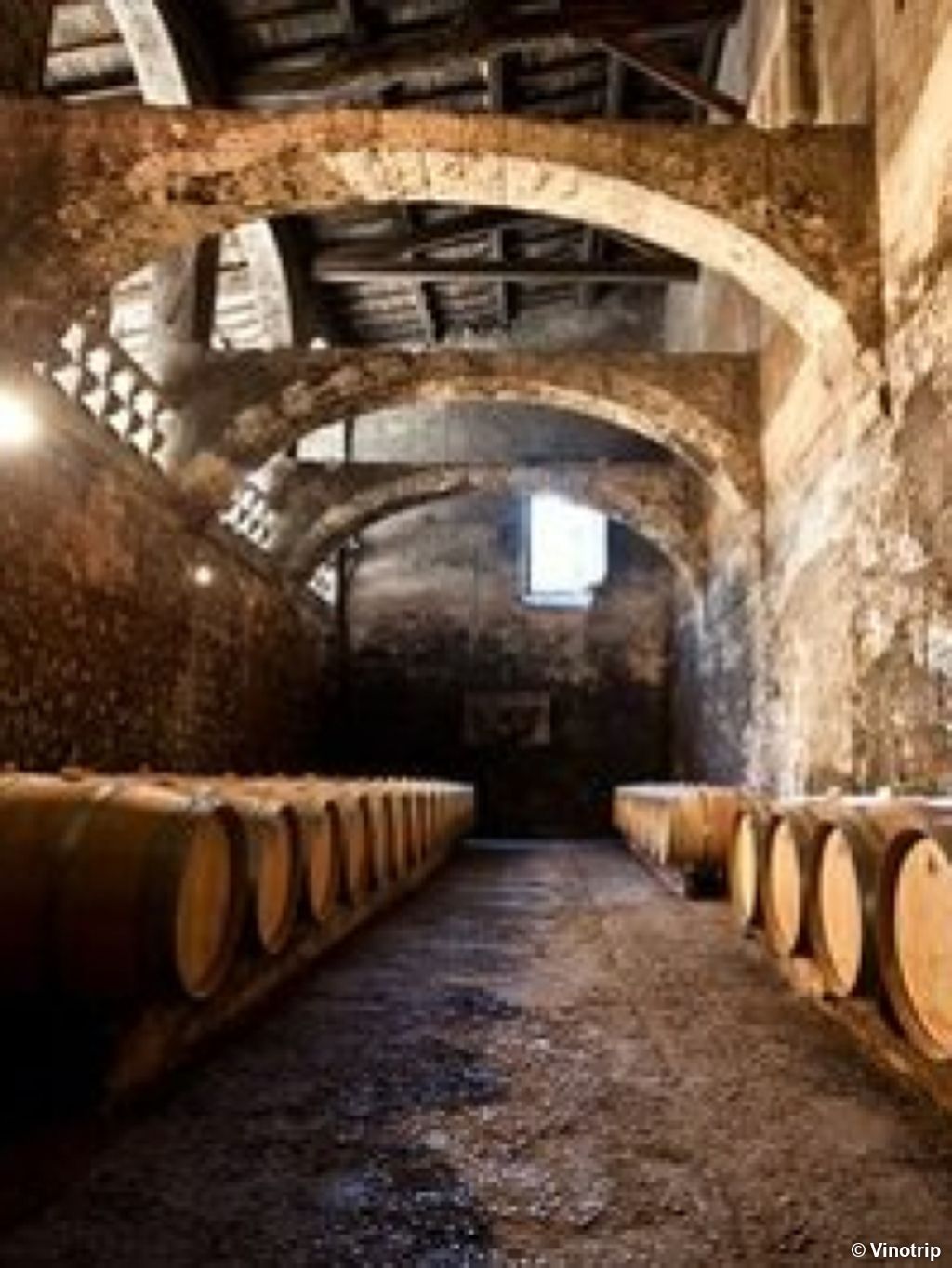 Atelier œnologique Bordeaux - 5