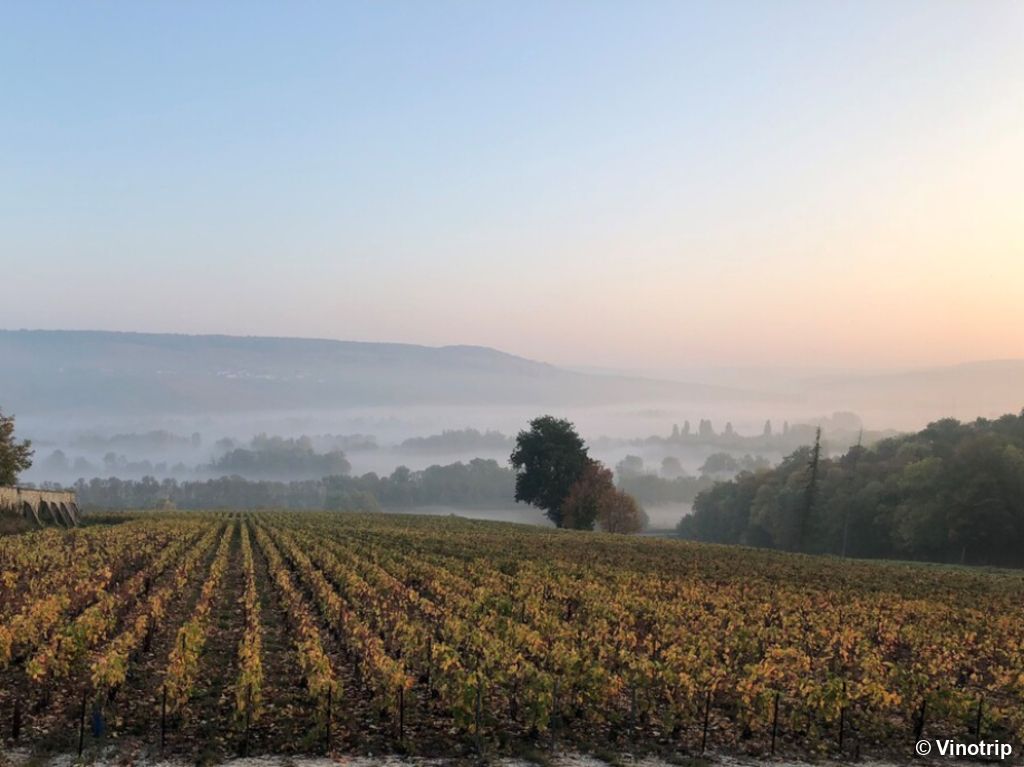 Gastronomie et Champagne - 2