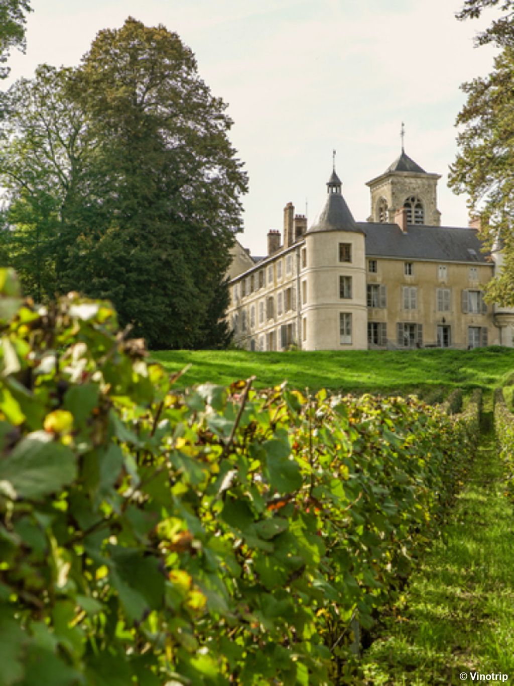 Gastronomie et Champagne - 5