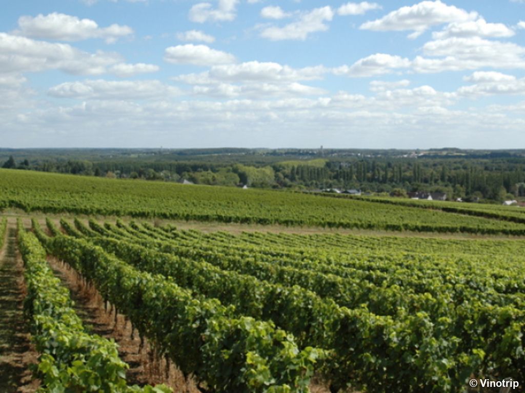 Week-end romantique en Val de Loire - 5