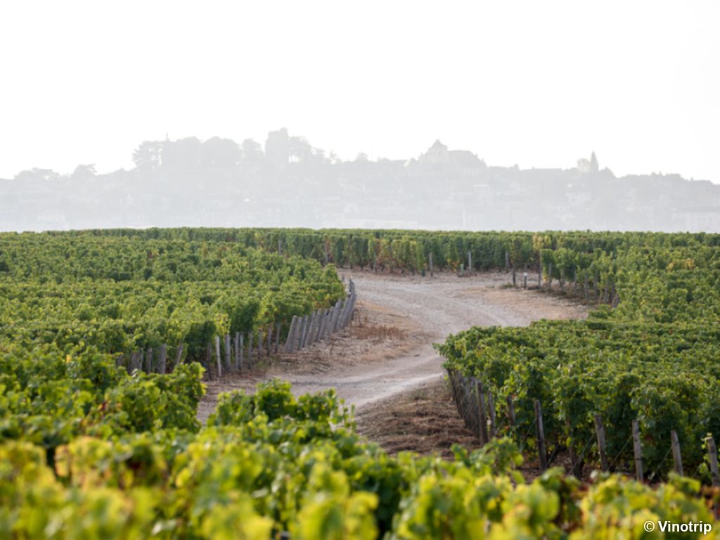 Week-end œnologique à Sancerre - 4