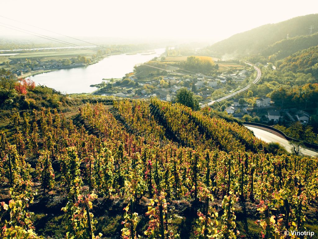 Week-end dégustation Hermitage - 4