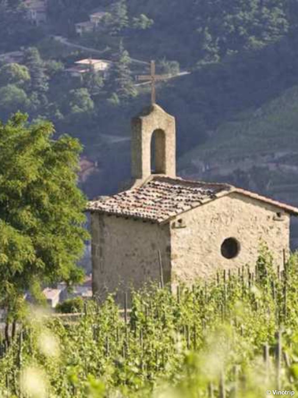 Week-end dégustation Hermitage - 5