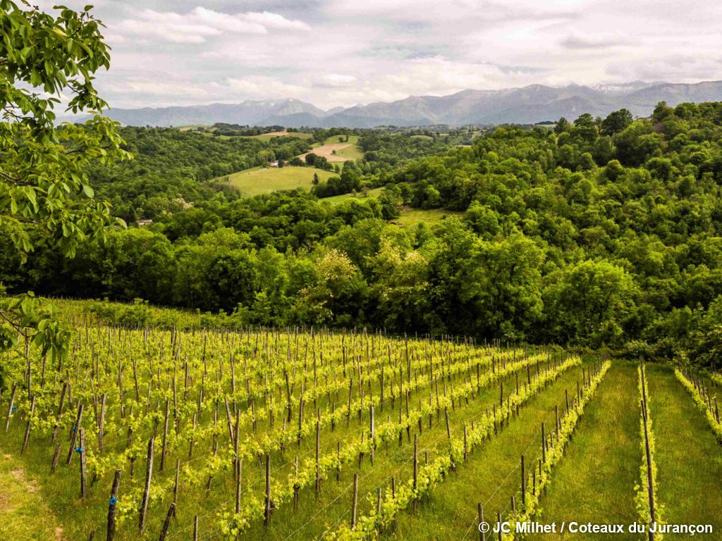 L'Entre-deux-Verts pyrénéen