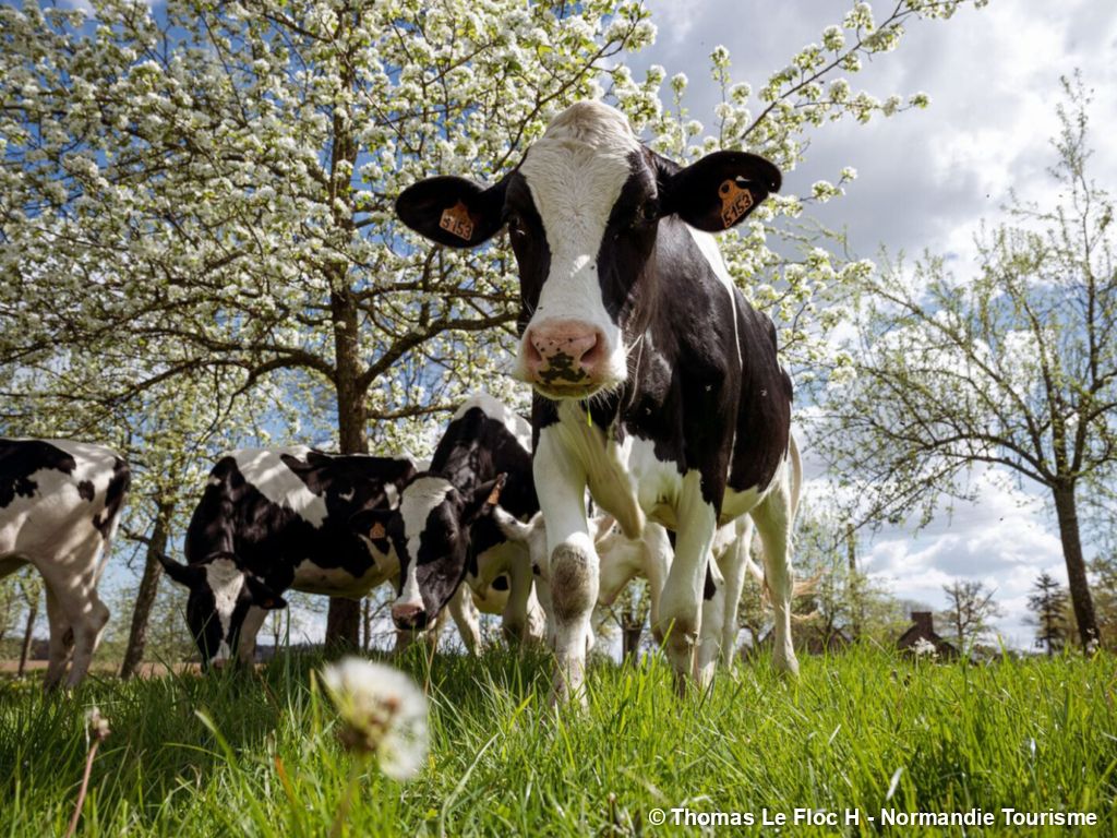 Séjour Gourmets et Gourmands - 3