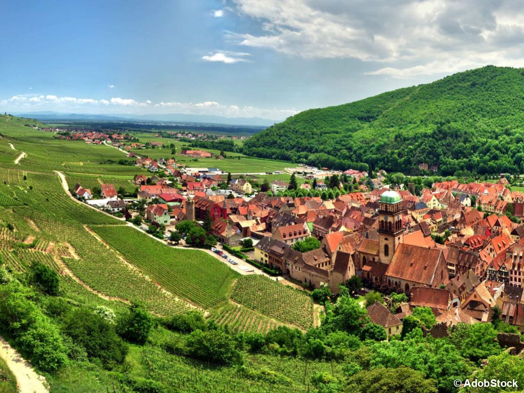 Colmar et Vallée de Kaysersberg en randonnée itinérante