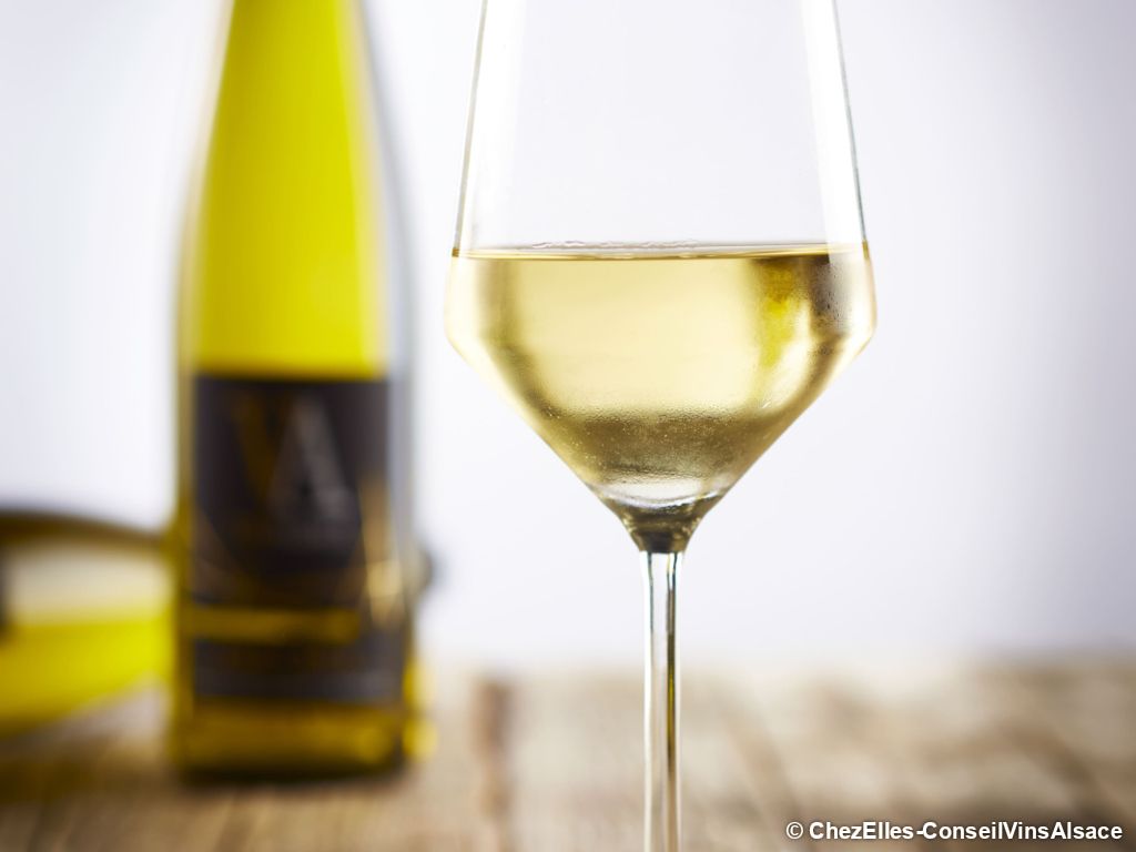 Entre bière et vin à Kaysersberg en randonnée itinérante - 2