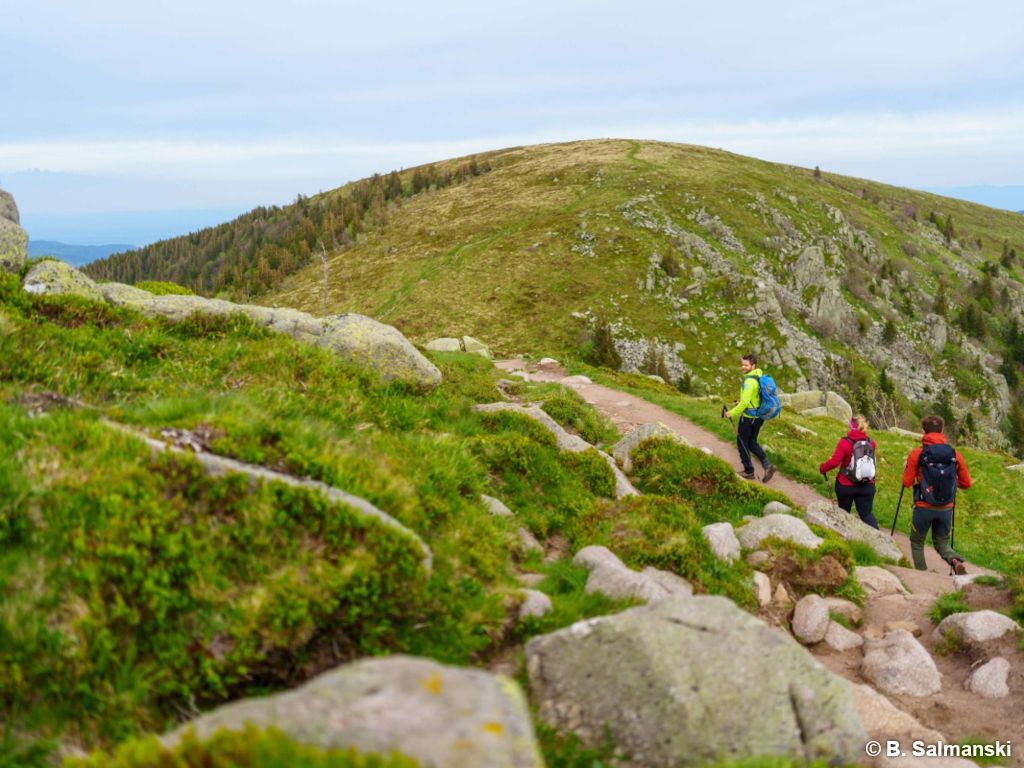 Entre bière et vin à Kaysersberg en randonnée itinérante - 3