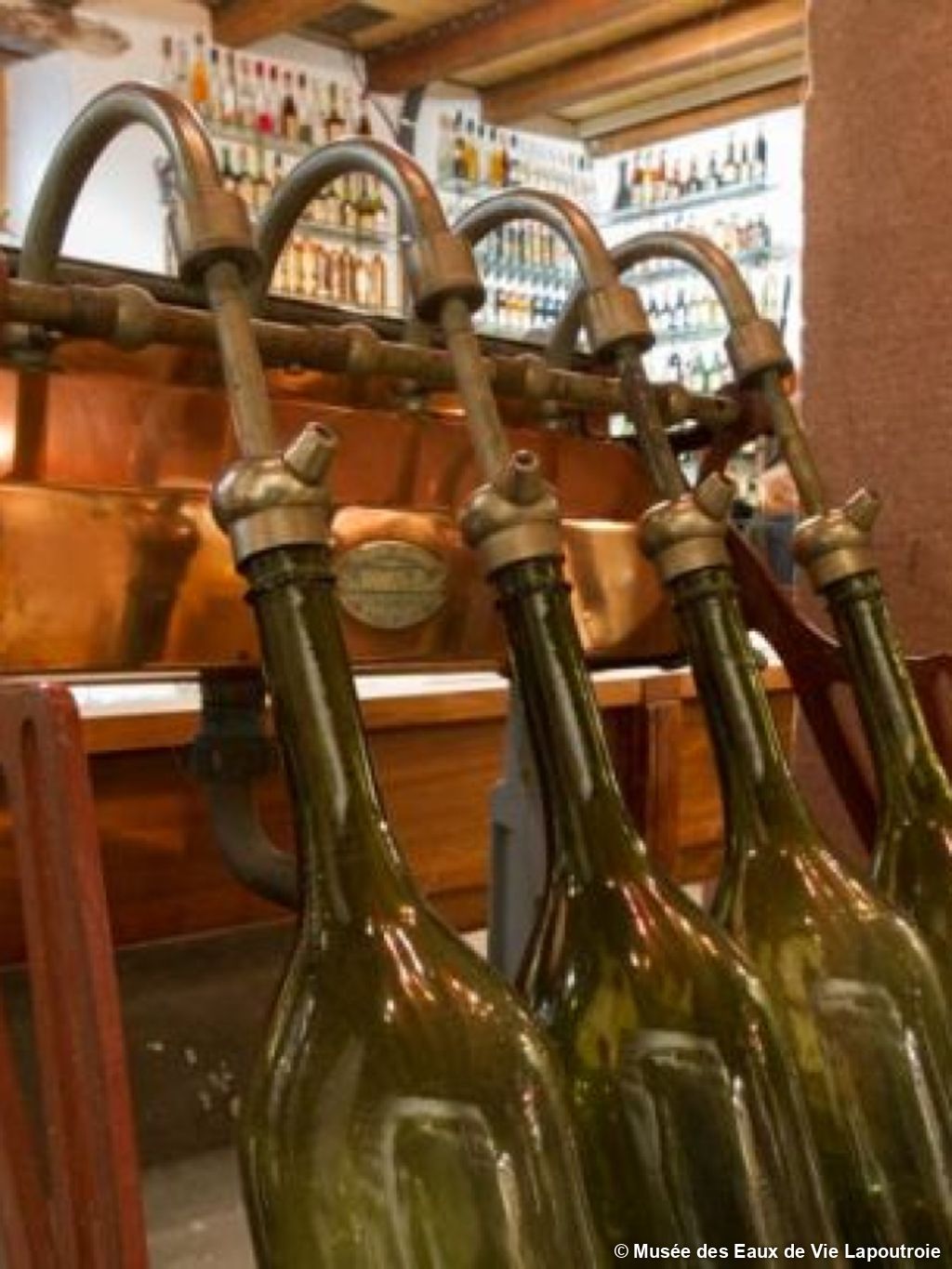 Entre bière et vin à Kaysersberg en randonnée itinérante - 4