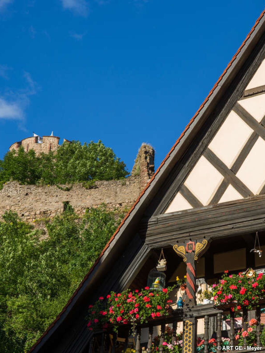 Entre bière et vin à Kaysersberg en randonnée itinérante - 5