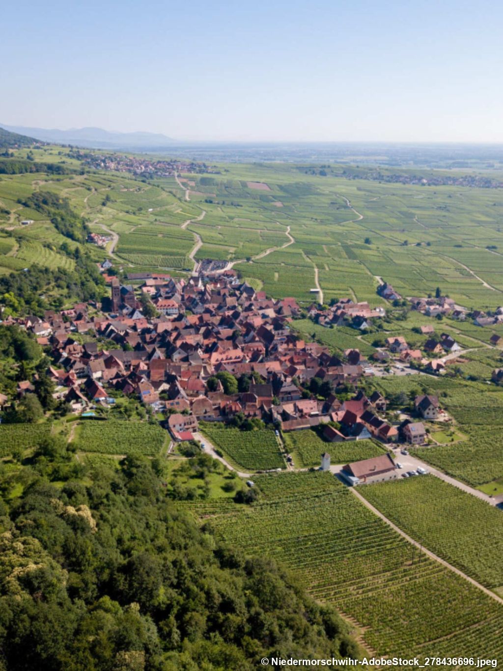 Entre bière et vin à Kaysersberg en randonnée itinérante - 6