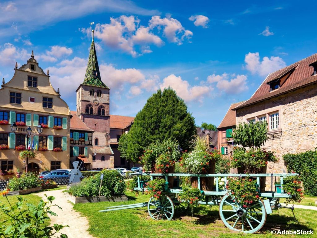 Évasion gustative en Alsace en randonnée itinérante - 1