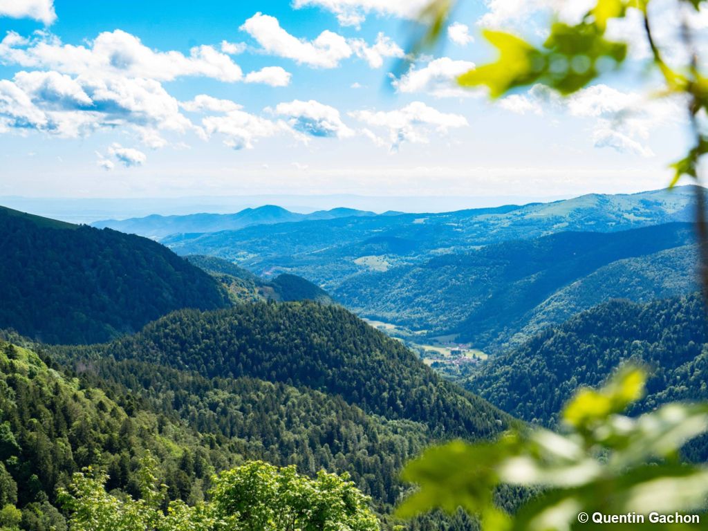 Évasion gustative en Alsace en randonnée itinérante - 2