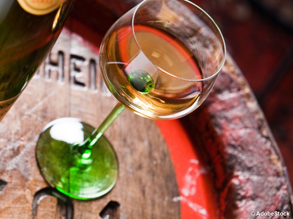 Évasion gustative en Alsace en randonnée itinérante - 3