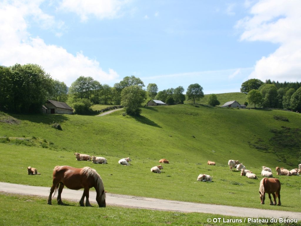 Du Boulevard à la vallée d'Ossau - 4