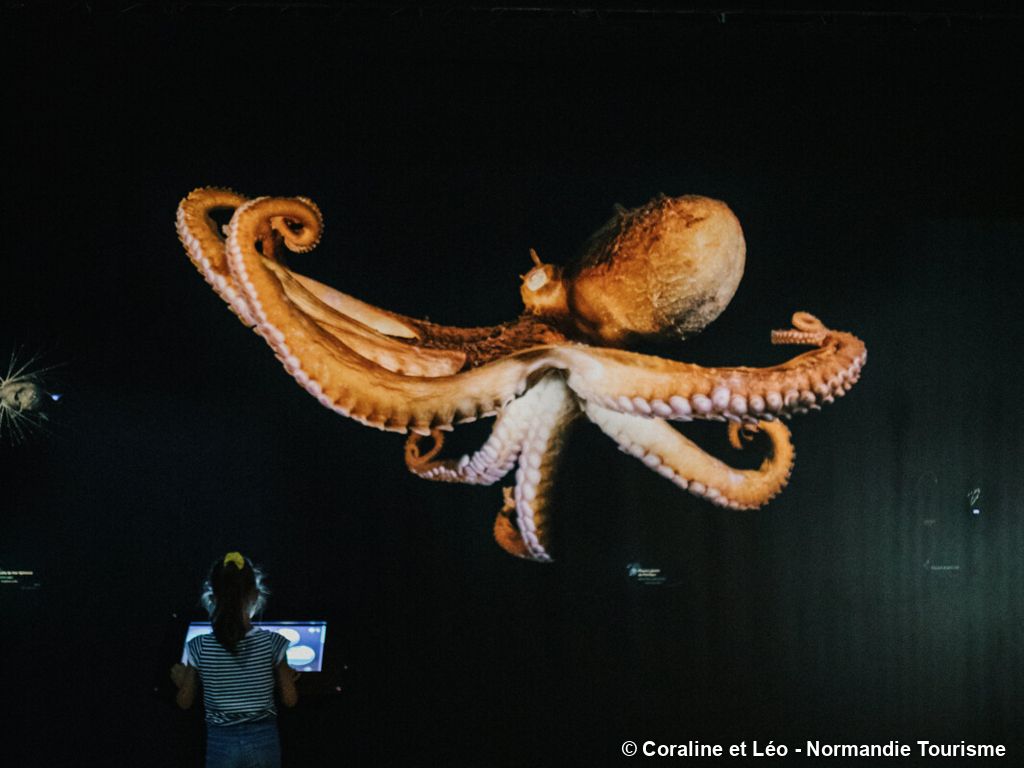 Week-end Mémoire et Histoire - 3