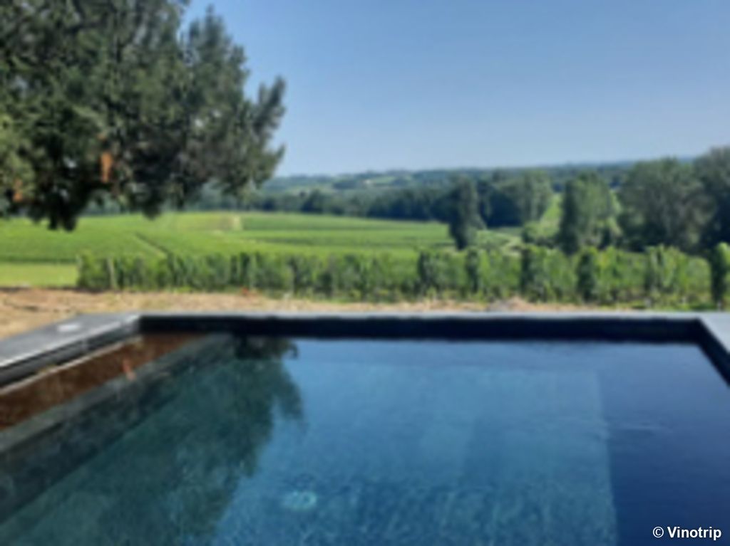 Relaxation dans le vignoble Bordelais