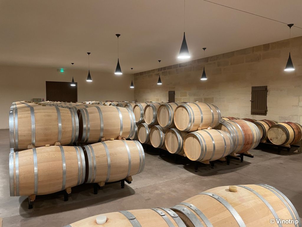 Relaxation dans le vignoble Bordelais