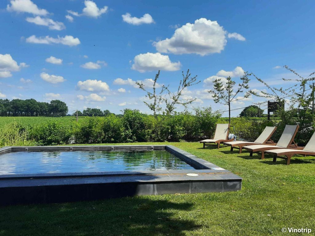 Relaxation dans le vignoble Bordelais