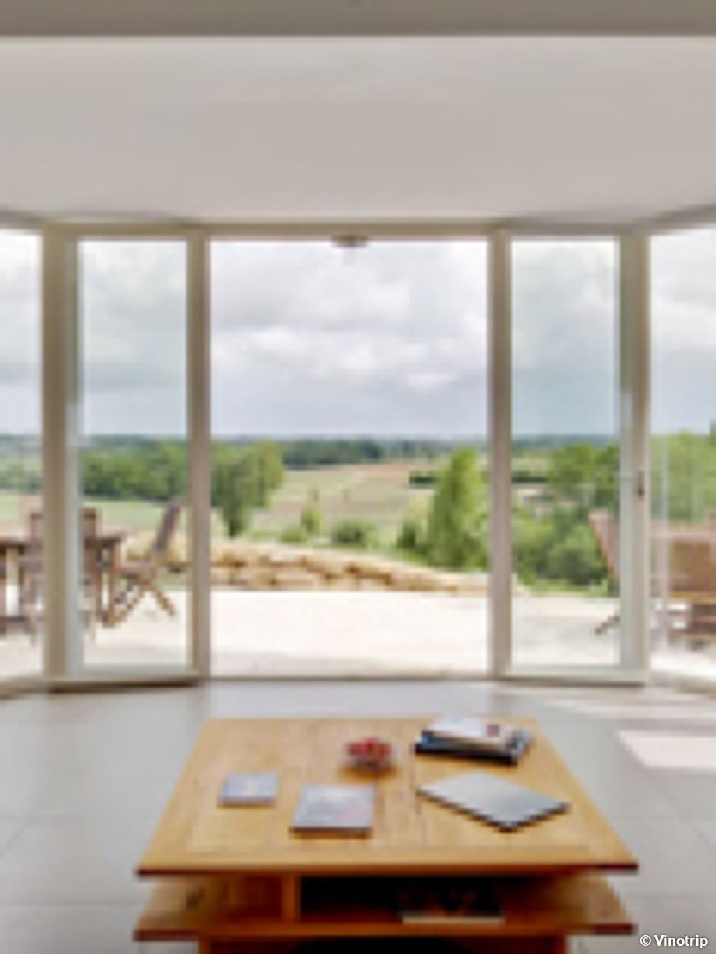 Relaxation dans le vignoble Bordelais