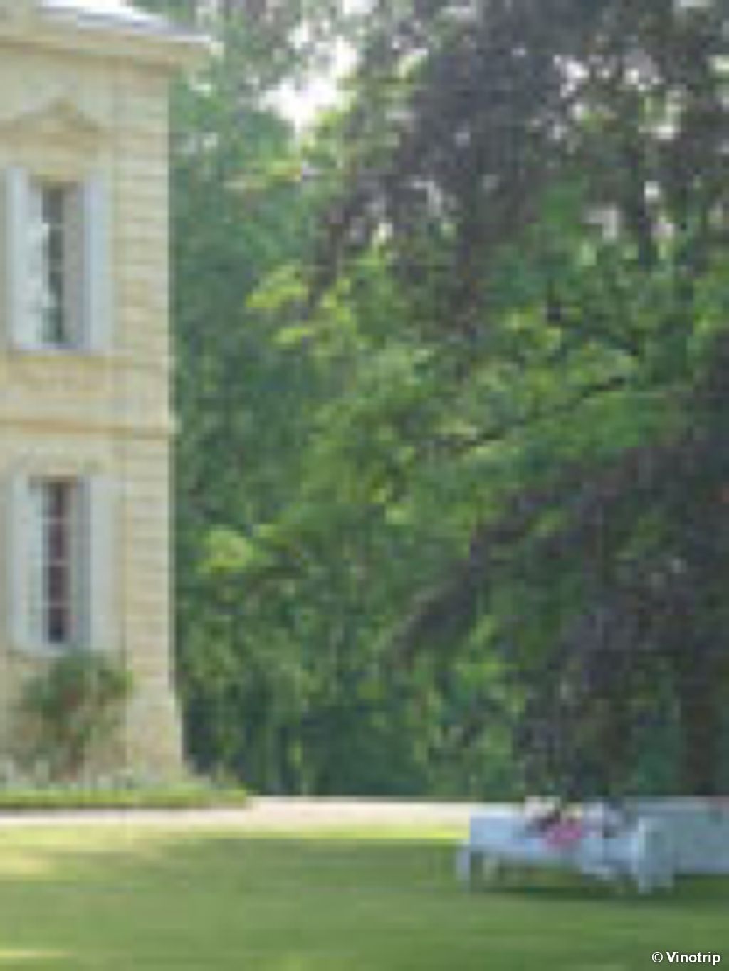Relaxation dans le vignoble Bordelais