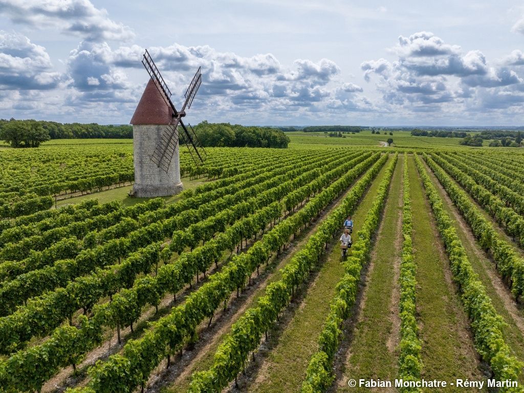 Douceurs de Cognac : Parenthèse bien-être
