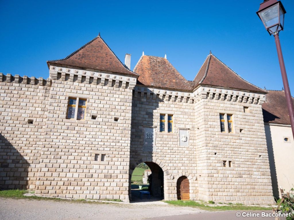 Week-end La Vie de Château au cœur du vignoble Bourguignon - 1
