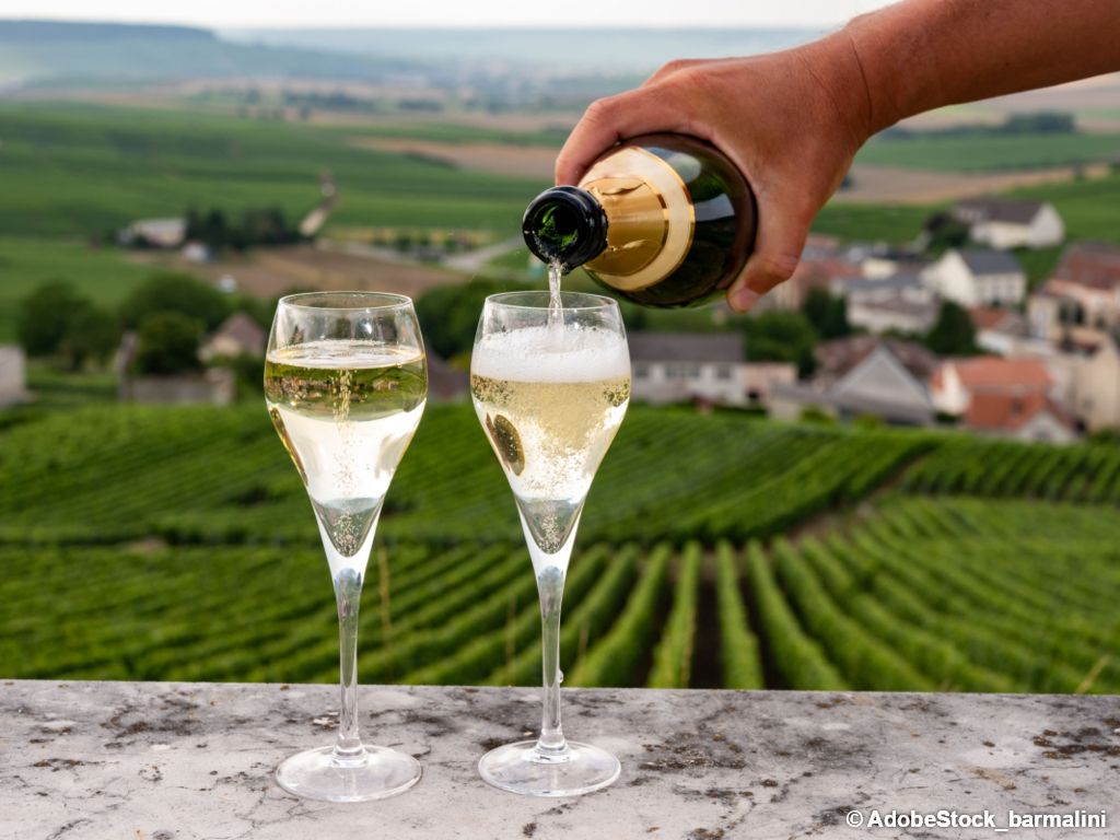Évasion au cœur du vignoble champenois
