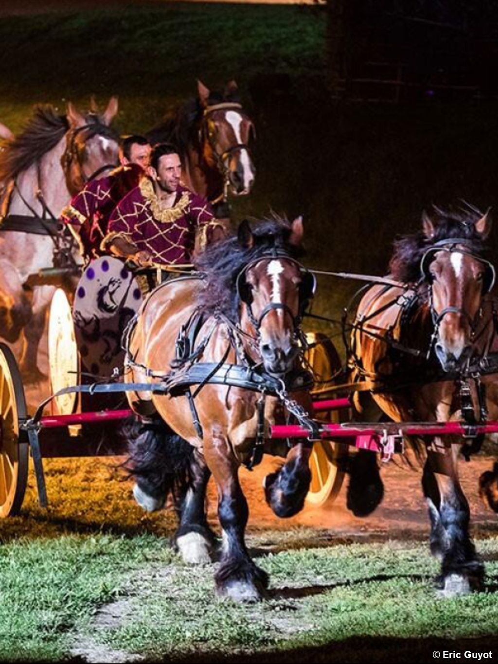 Séjour spectacle Augustodunum, le Rêve du Roi à Autun - 10